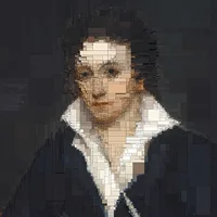Cardano Shelley
