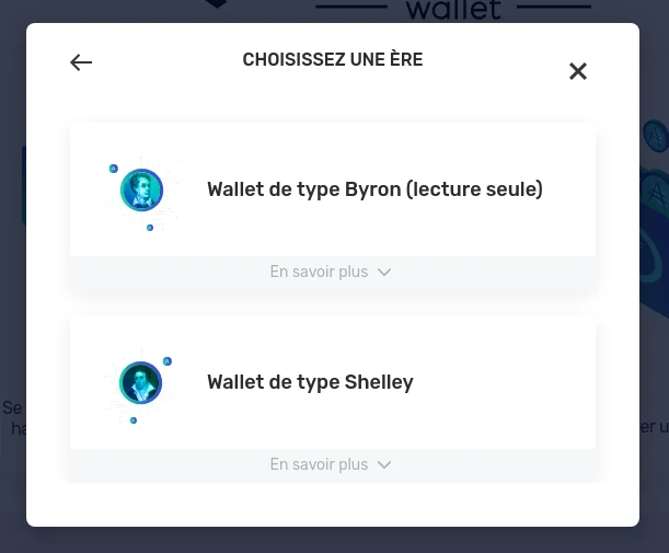 Yoroi choisir l'ère de Cardano